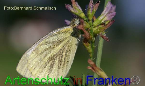 Copyright AiF / Bernhard Schmalisch Bild zum Eintrag (1107092-160)