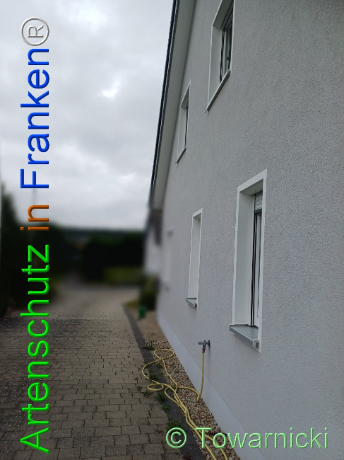 © Artenschutz in Franken® Bild zum Eintrag (1107291-160)