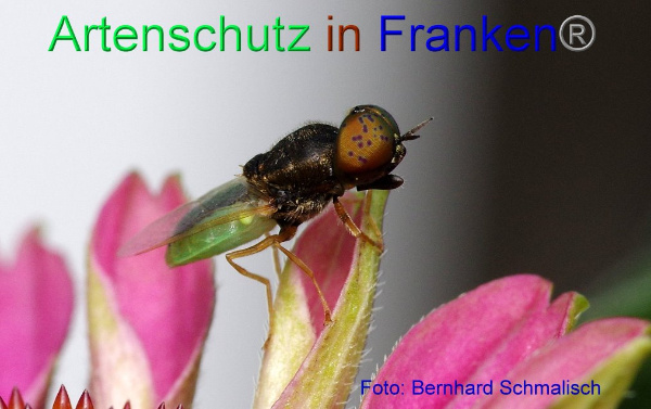 Copyright AiF / Bernhard Schmalisch Bild zum Eintrag (1107516-160)