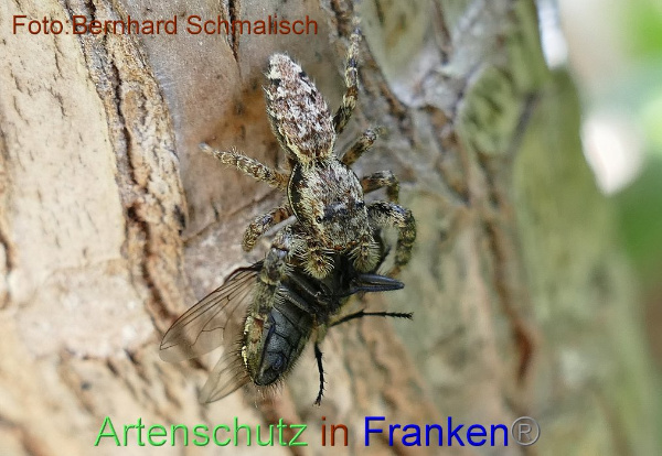 Copyright AiF / Bernhard Schmalisch Bild zum Eintrag (1107663-160)