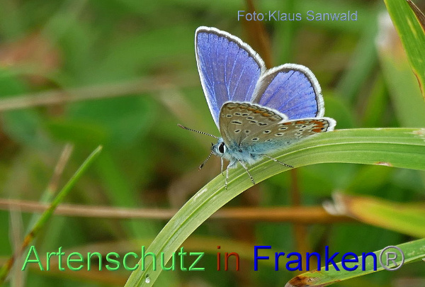 Copyright AiF / Klaus Sanwald Bild zum Eintrag (1108210-160)