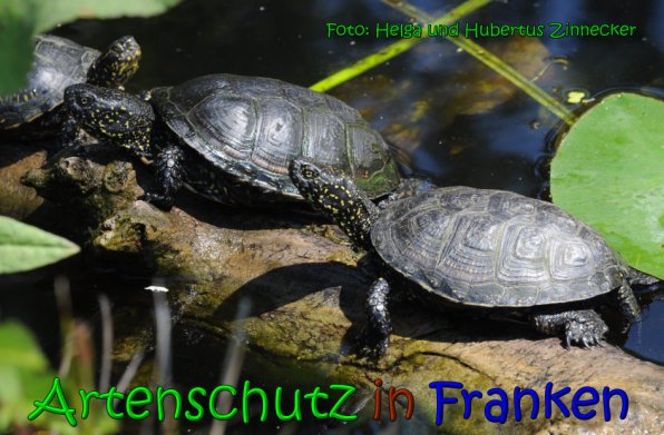 Bild zum Eintrag (1108391-160)