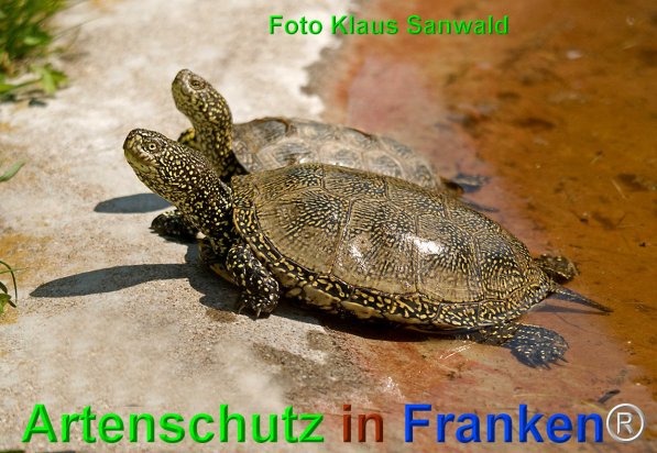 Copyright AiF Klaus Sanwald Bild zum Eintrag (1108392-160)
