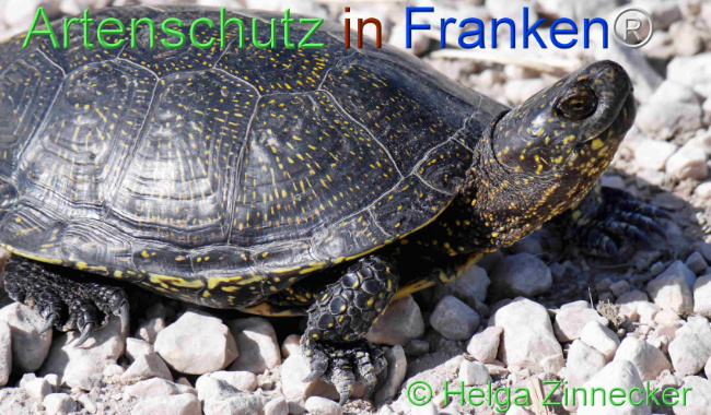 Bild zum Eintrag (1108398-160)