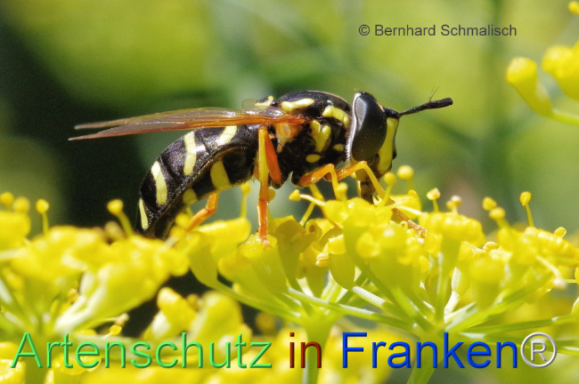 Bild zum Eintrag (1108465-160)