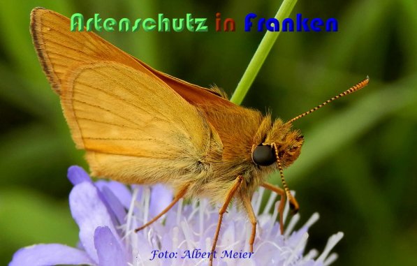 Bild zum Eintrag (1109103-160)