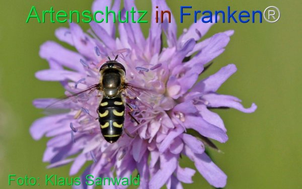 Bild zum Eintrag (1109958-160)
