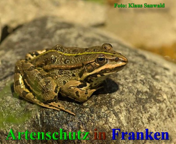 Bild zum Eintrag (1110003-160)