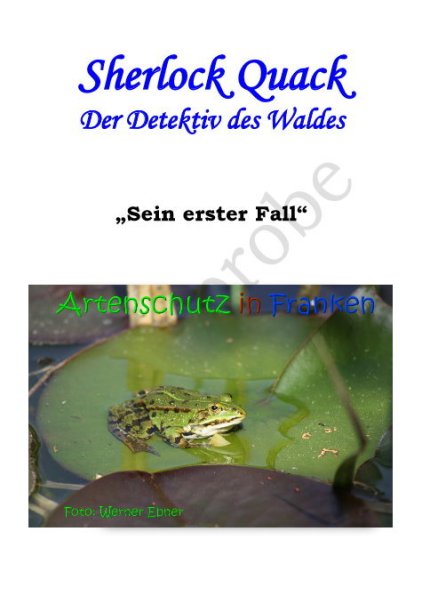Bild zum Eintrag (1110005-160)