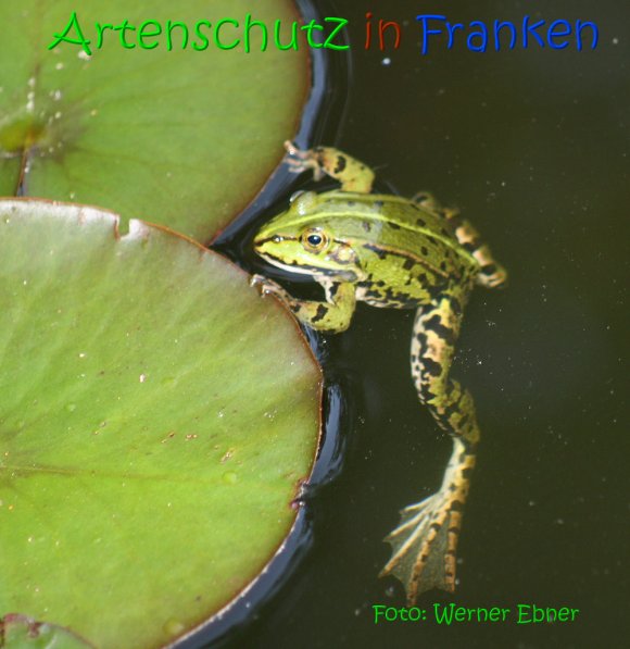 Copyright AiS Werner Ebner Bild zum Eintrag (1110028-160)
