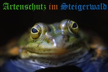 Bild zum Eintrag (1110033-160)