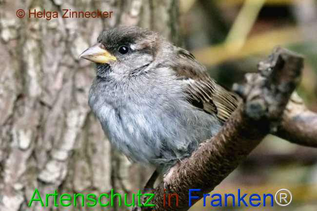 Bild zum Eintrag (1111163-160)