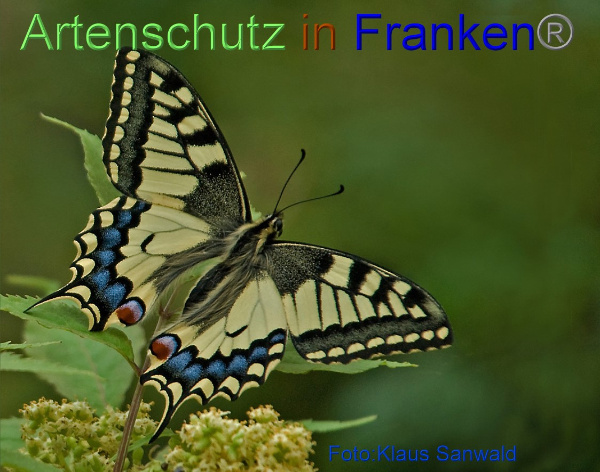 Copyright AiF - Klaus Sanwald Bild zum Eintrag (1111290-160)