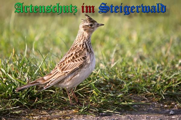 Copyright AiS 2009 / Jürgen Kühnel Bild zum Eintrag (1111498-160)