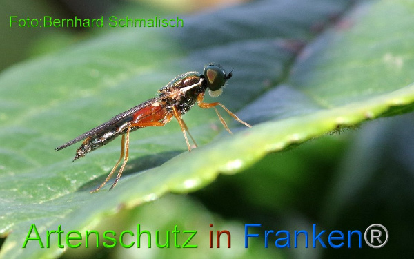 Copyright AiF / Bernhard Schmalisch Bild zum Eintrag (1112126-160)