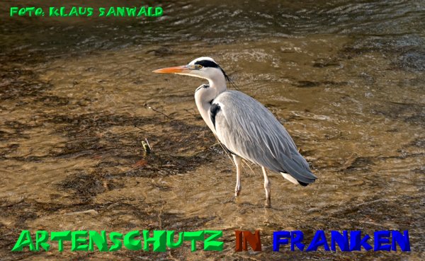 Bild zum Eintrag (1112341-160)