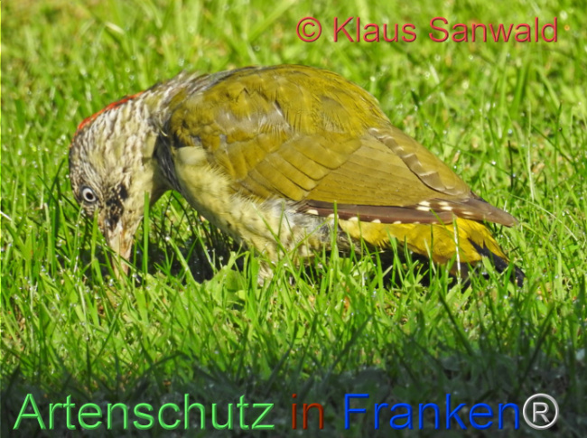 Bild zum Eintrag (1112919-160)