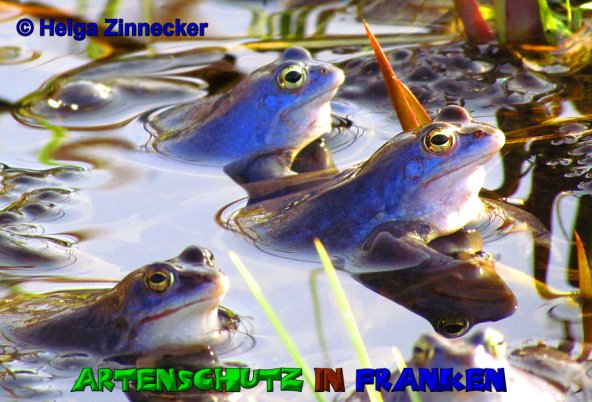 Copyright AiS Helga Zinnecker Bild zum Eintrag (1112939-160)
