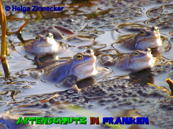 Copyright AiS Helga Zinnecker Bild zum Eintrag (1112941-160)