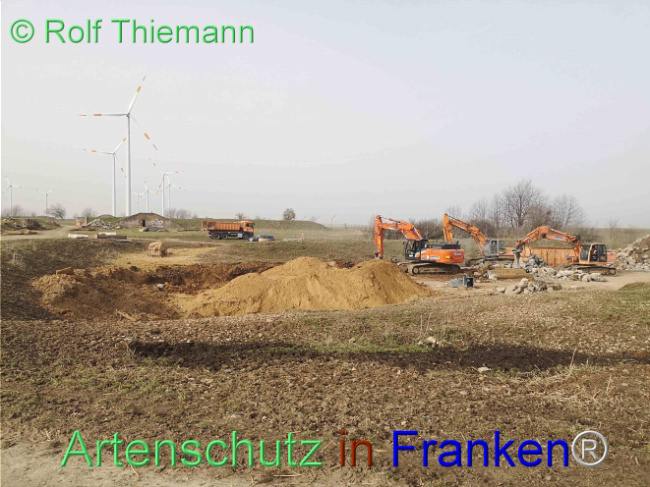 © Artenschutz in Franken® / Rolf Thiemann Bild zum Eintrag (1112993-160)