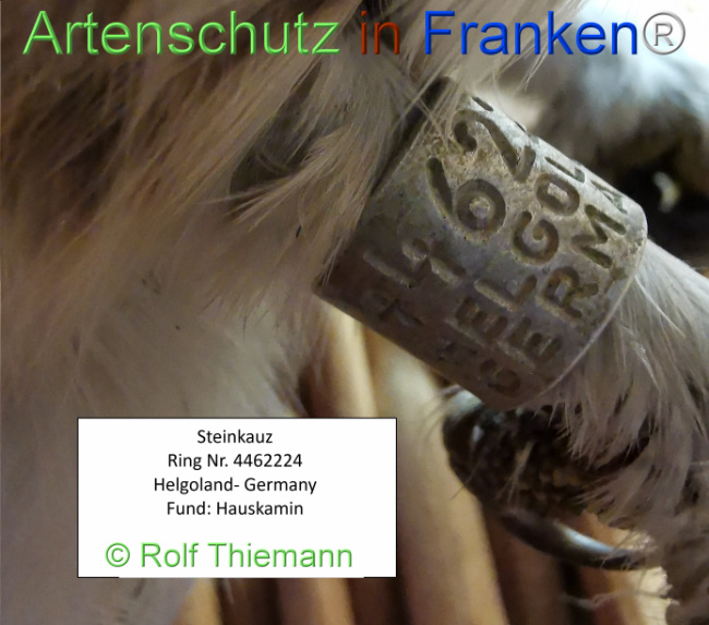 © Artenschutz in Franken® / Rolf Thiemann Bild zum Eintrag (1113462-160)