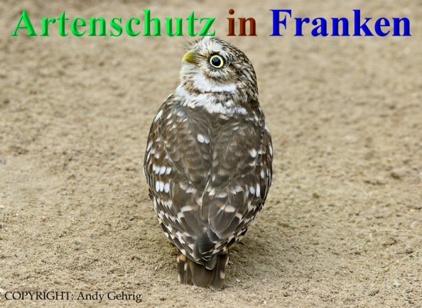 Copyright AiS - Andy Gehrig Bild zum Eintrag (1113468-160)