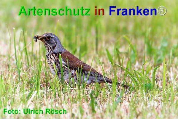 Copyright AiF Ulrich Rösch Bild zum Eintrag (1113785-160)