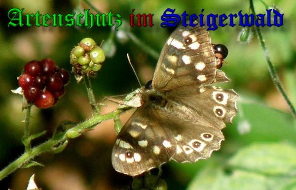 © Artenschutz in Franken® / Albert Meier Bild zum Eintrag (1113811-160)