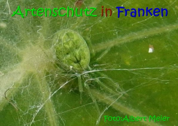 Bild zum Eintrag (1113920-160)