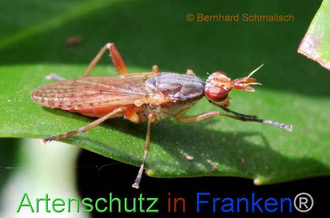 Bild zum Eintrag (1114225-160)