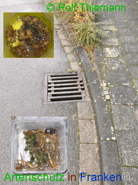 Bild zum Eintrag (1114839-160)