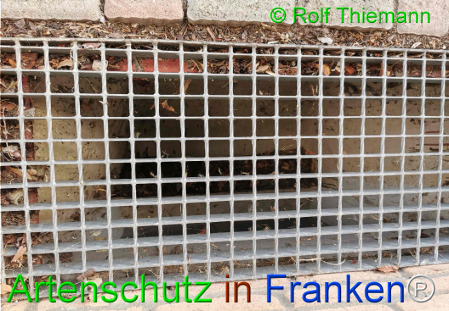 Bild zum Eintrag (1114847-160)