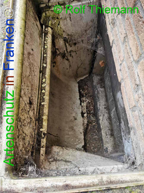 Bild zum Eintrag (1114848-160)