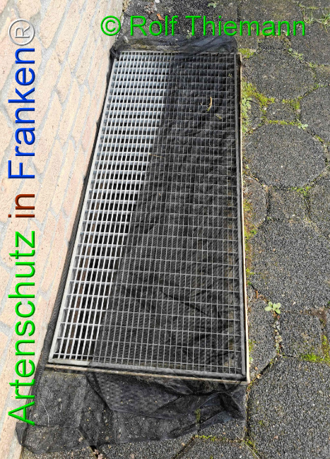 Bild zum Eintrag (1114850-160)