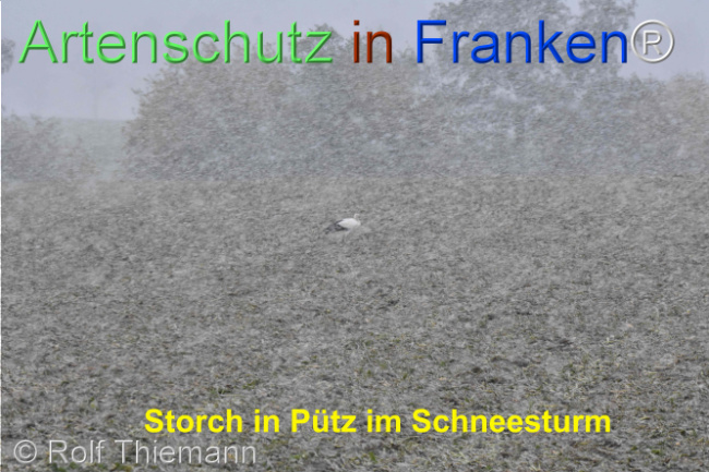 Bild zum Eintrag (1115702-160)