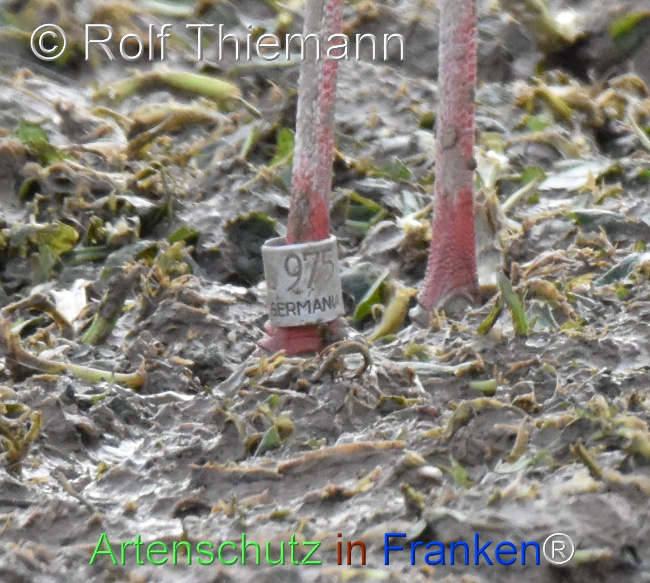 Bild zum Eintrag (1115707-160)