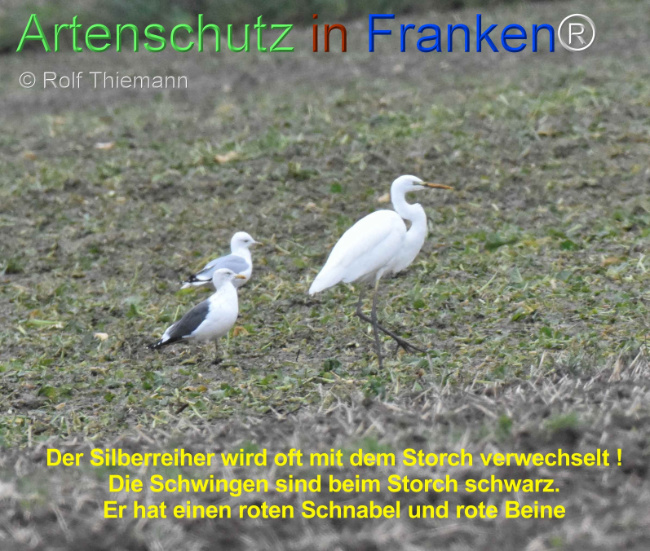 Bild zum Eintrag (1115710-160)