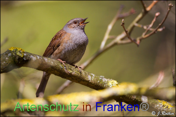 Copyright AiF Johannes Rother Bild zum Eintrag (1115901-160)