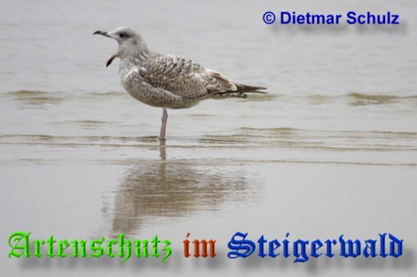 Bild zum Eintrag (1116137-160)