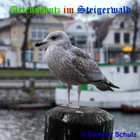 Bild zum Eintrag (1116138-160)