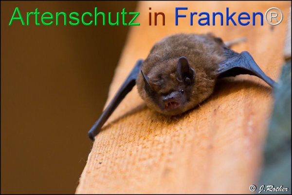 Copyright AiF Johannes Rother Bild zum Eintrag (1116638-160)