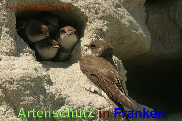 Copyright AiS - Wolfgang Willner Bild zum Eintrag (1116966-160)