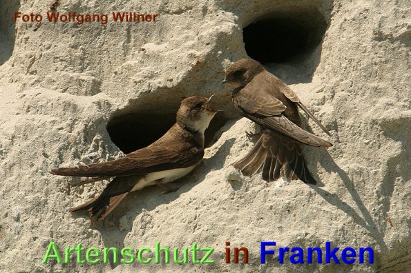 Copyright AiS - Wolfgang Willner Bild zum Eintrag (1116967-160)