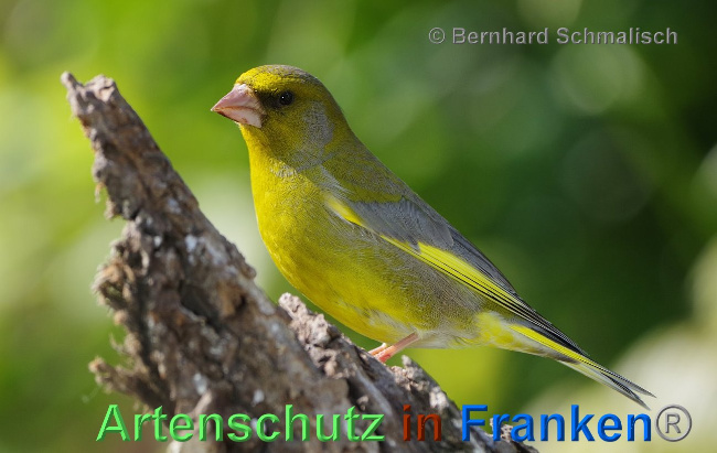 Bild zum Eintrag (1117312-160)