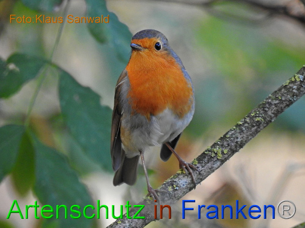 Copyright AiF / Klaus Sanwald Bild zum Eintrag (1118290-160)