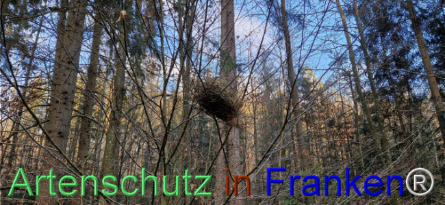 © Artenschutz in Franken® Bild zum Eintrag (1118335-160)