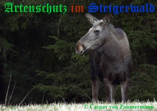 Copyright AiS / 2009 Caspar von Zimmermann Bild zum Eintrag (1118443-160)