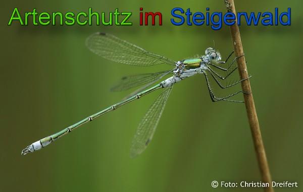Copyright AiS / 2010 Christian Dreifert Bild zum Eintrag (1119442-160)