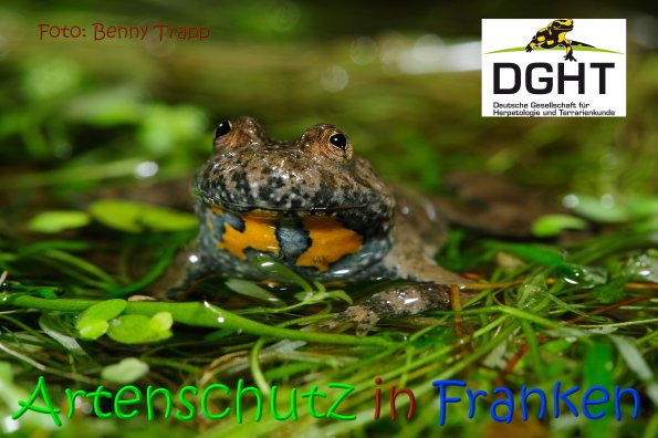 Copyright AiS Benny Trapp - www.bennytrapp.de Bild zum Eintrag (1119483-160)