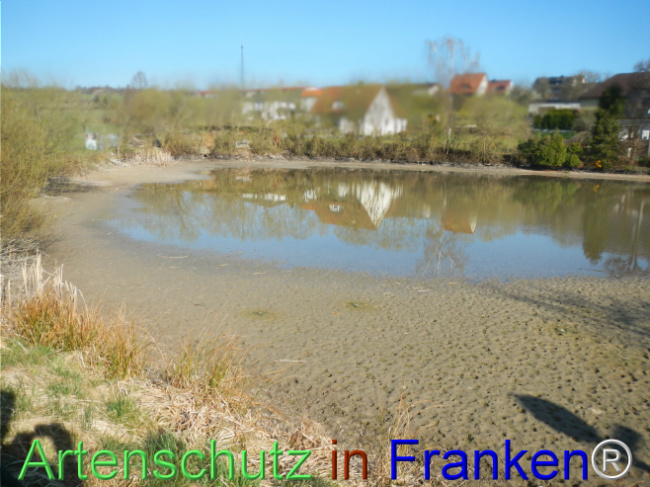 © Artenschutz in Franken® Bild zum Eintrag (1120136-160)